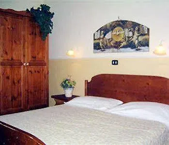 Viola 3*