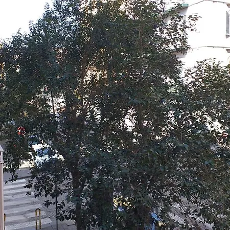 Hotel Vittorio Veneto Napoli Neapel