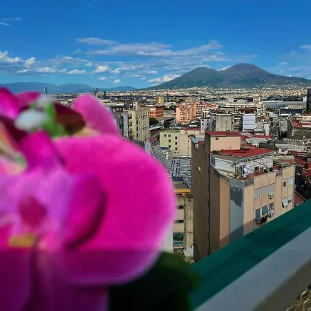 Napoli's Rooftop Frühstückspension *