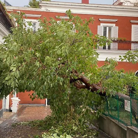 Pensión B-montedidio