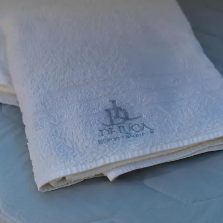 Dl Luxury Guest house
