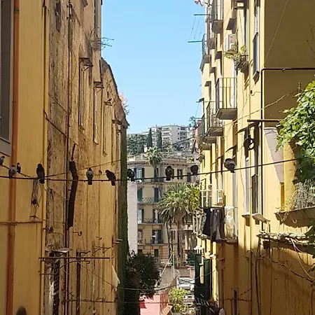 Panzió Rega House