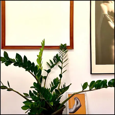 Bed & Breakfast Monart Hospitality Cavour Naples