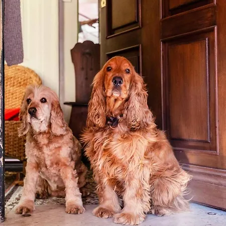 Affittacamere La Casa Di Nina
