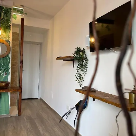 Bed & Breakfast Urban Jungle *