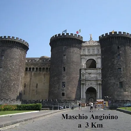 Forever Naples