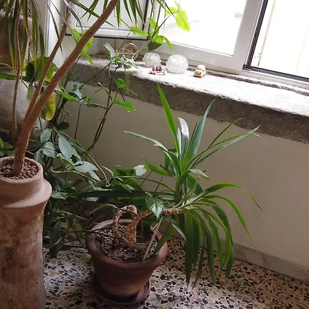 Centro Spaccanapoli Apartment