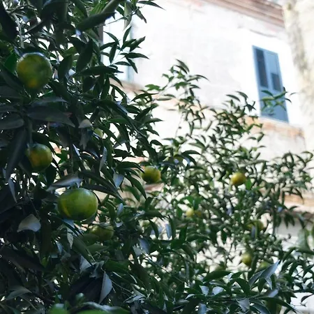 Appartement Giardino D'atri *