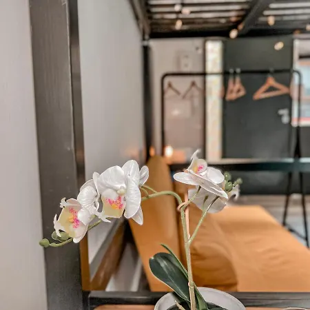 Apartment Linea1 Loft *