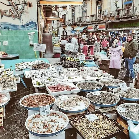 Alojamento de Acomodação e Pequeno-almoço Essenza Di