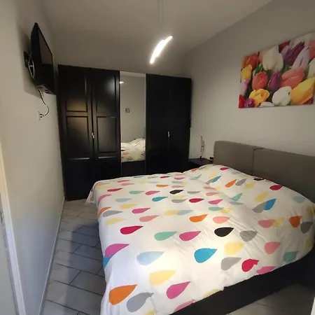 Zia Rose Apartment