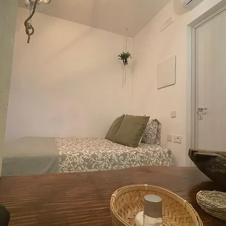 Bed & Breakfast Urban Jungle *