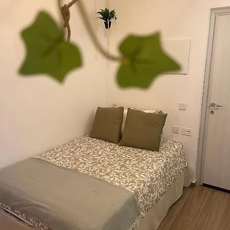 Urban Jungle Bed & Breakfast