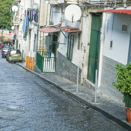 Dom wakacyjny House Toto *
