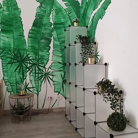 Casa vacanze 'o Curniciello *