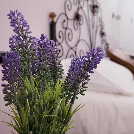 Bed & Breakfast G&g