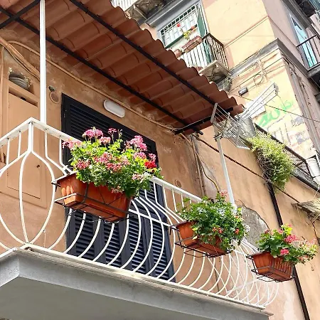 Palazzetto 305 Apartment