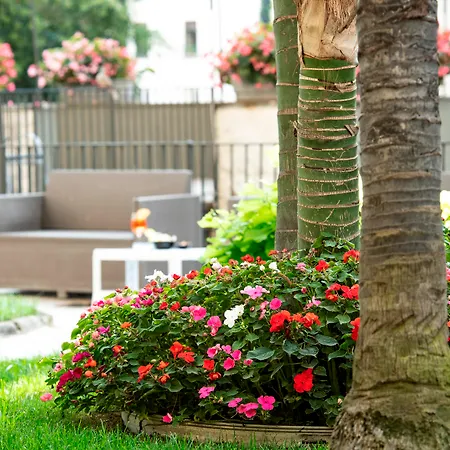 Hotel Elisio &