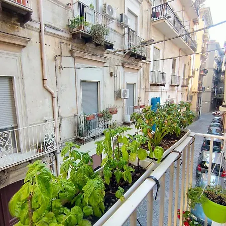 Hacienda Apartment