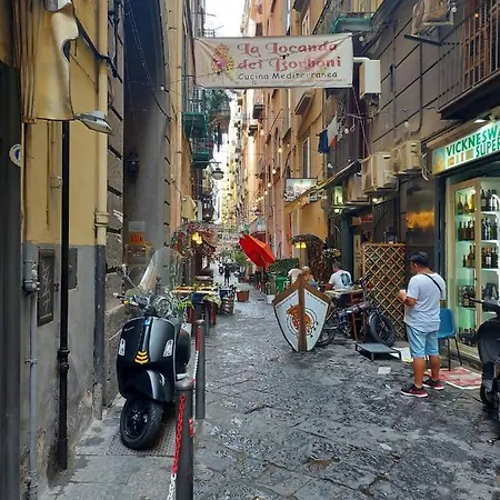 House Vico Lungo A Toledo *