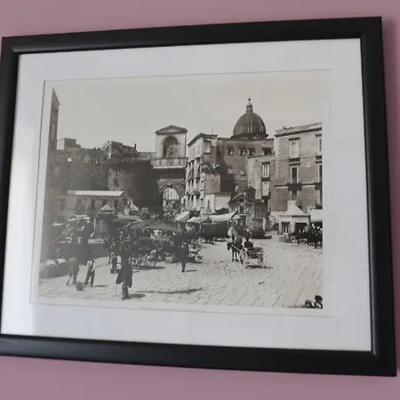 Angio Guest house