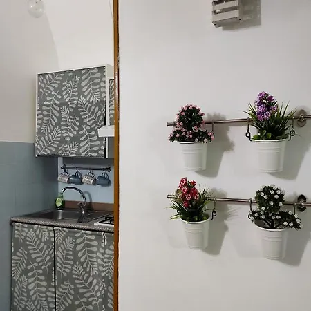 'o Curniciello Casa vacanze