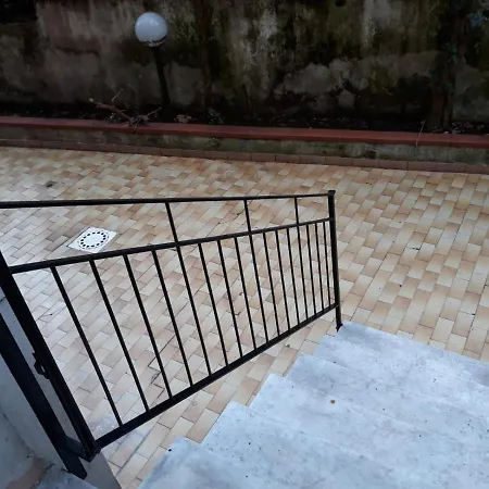 New With Garden *