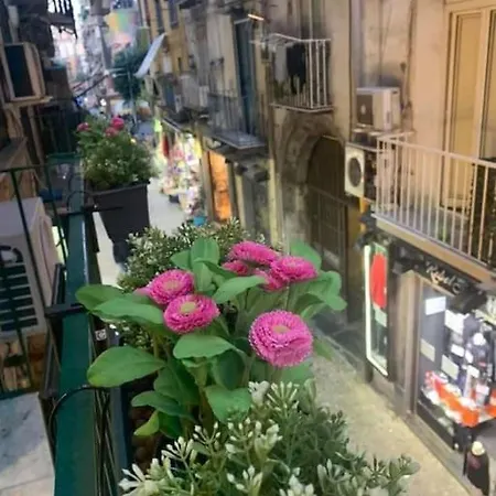 La Casa Di Patta A Spaccanapoli Napoli