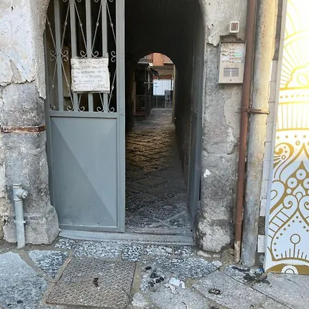 Carlotta Naples