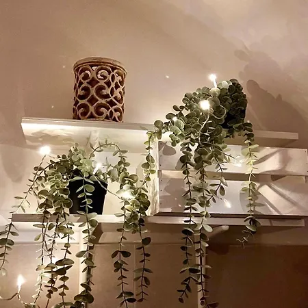 Maison Dinda *