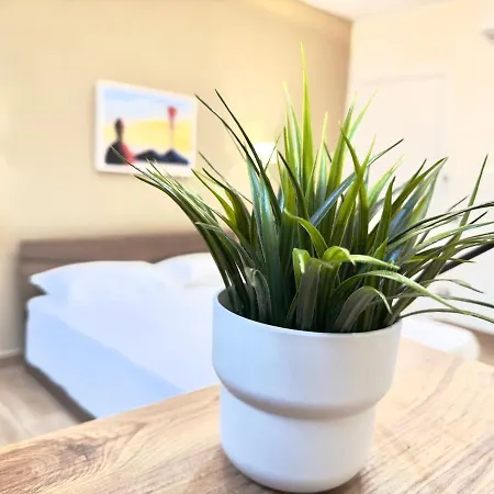 Guest house Vespucci