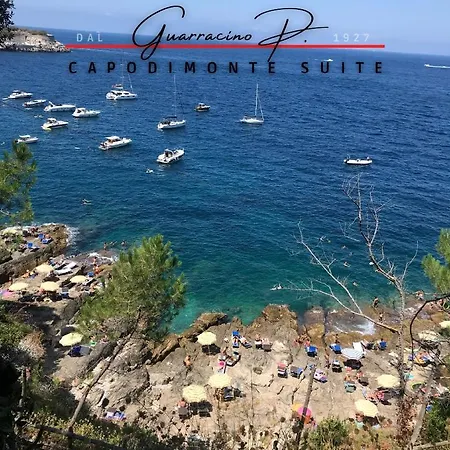 Guarracino P. Capodimonte Apartamento *