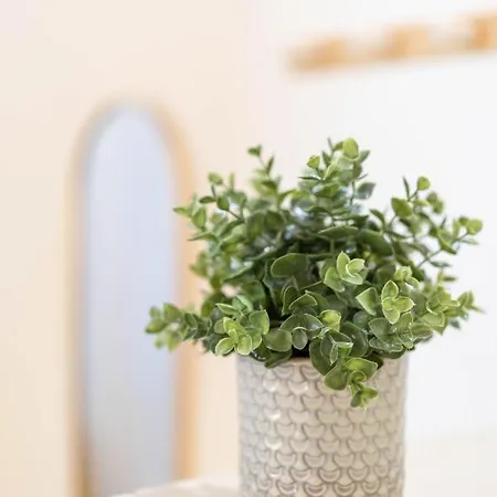 Apartamento Cosmea By Dimorra
