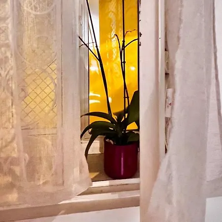 Maison Dinda *