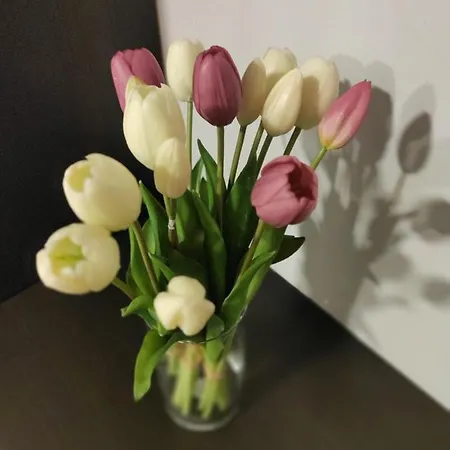 Zia Rose Apartment Naples