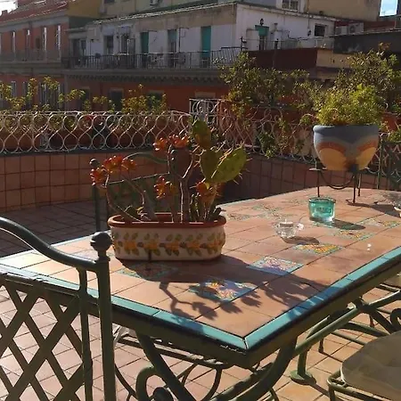 Apartment Amazing Roof In The Heart Of Naples! *
