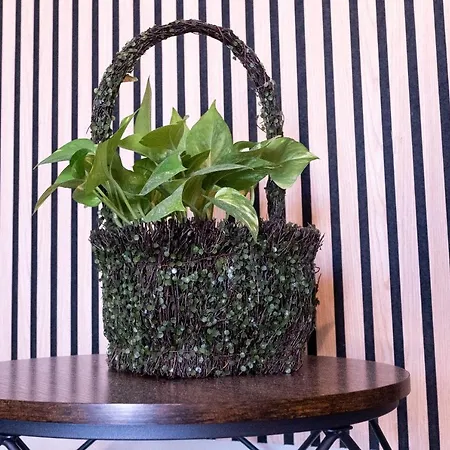Tiny Daisy House Apartamento
