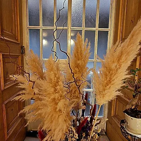 Maison Des Fleurs 3*
