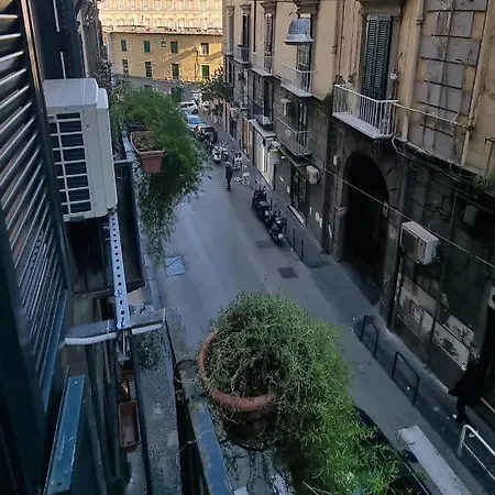 L'arnia * Naples