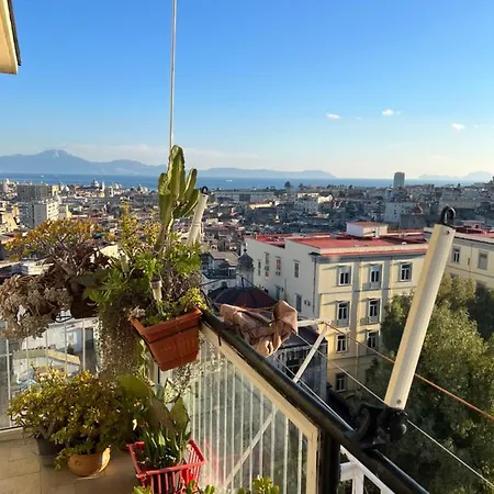 Sunrise Sweet Napoli