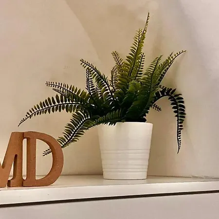 Apartment Maison Dinda Naples