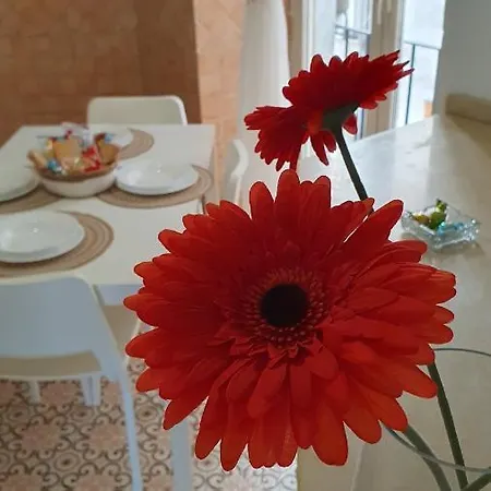 Casablanca * Napoli