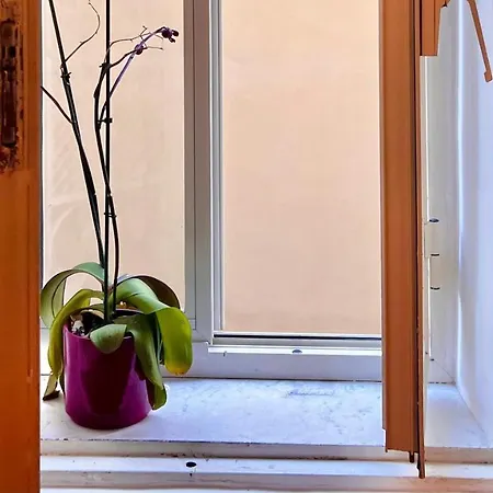 Maison Dinda