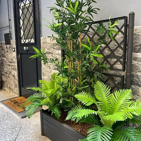 Tatil Evi Casa Spaccanapoli