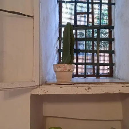 Il Cortiletto, Spazio Alla Fantasia *