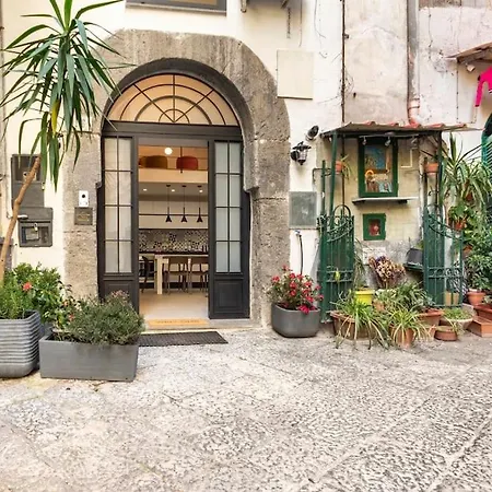Vesuvius Ai Librai Napoli