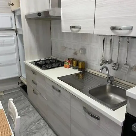 New With Garden Naples