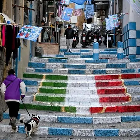 Street Of