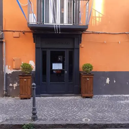 Iris Sweet * Napoli