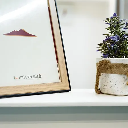 Loft By Universita Apartment